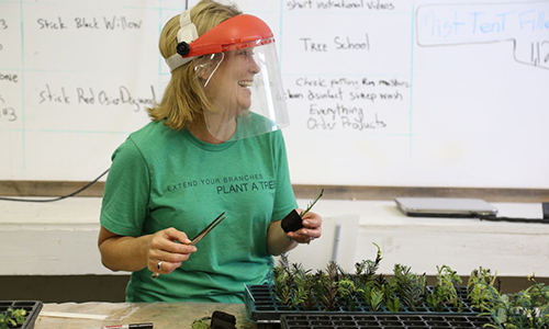 1516983872_Stiles-Archangel 1516983872_Stiles-Archangel